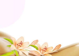 新概念母嬰護(hù)理 重塑家政服務(wù)，打造專業(yè)月嫂與陪護(hù)新標(biāo)桿